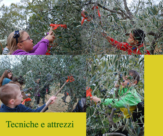 Domeniche alla Rocca con laboratori e giochi per Adulti e bambini, Rocca di Staggia Siena