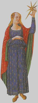 donna stella