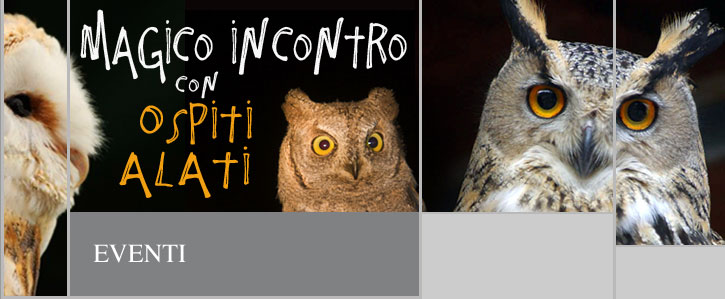 Alla Rocca di Staggia un incontro magico con misteriosi volatili notturni. Un evento dedicato ai ragazzi e alle loro famiglie Alla Rocca di Staggia un incontro magico con misteriosi volatili notturni. Un evento dedicato ai ragazzi e alle loro famiglie.