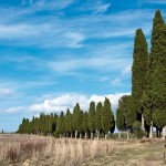 compagni di viaggio