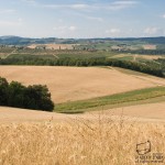 vallata di grano