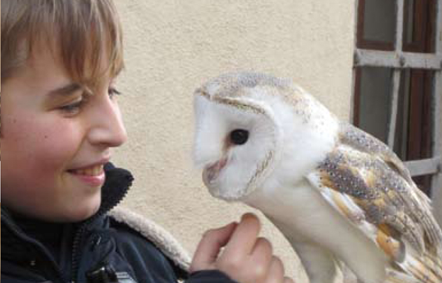 Falconieri per un giorno