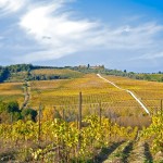 fizzano autunno